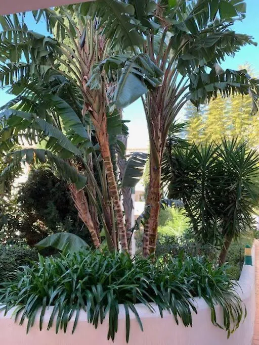 Appartement Pueblo Del Parque, Parc La Paloma 베날마데나코스타 아파트